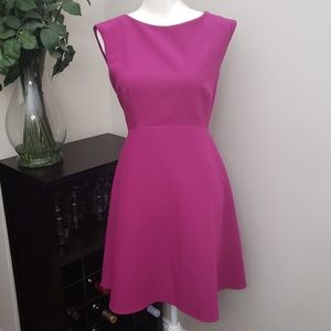 Tahari Sleeveless Lined A Line Knee Length Dress